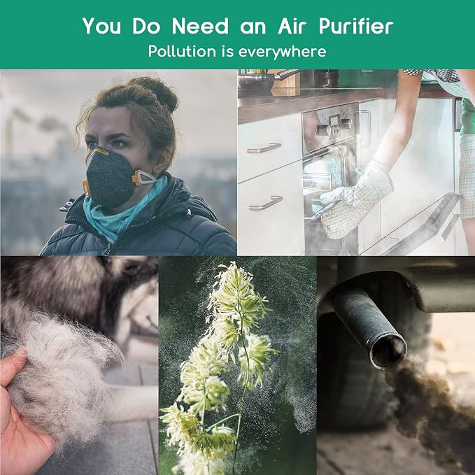 Afloia Air Purifier for Pets, Air Purifiers for Home Large Room Up to 880 Ft² - Image 4