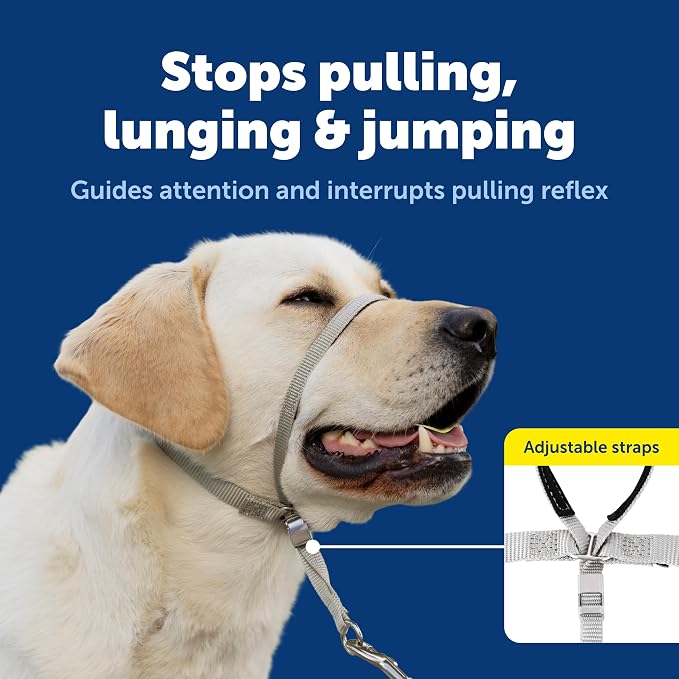 PetSafe Gentle Leader No-Pull Dog Headcollar - Image 3