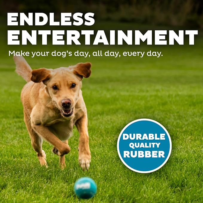 Outward Hound Squeaker Ballz – Squeaky Tennis Balls - Image 4