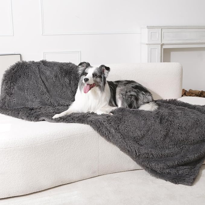 gogobunny Waterproof Dog Blanket - Image 3