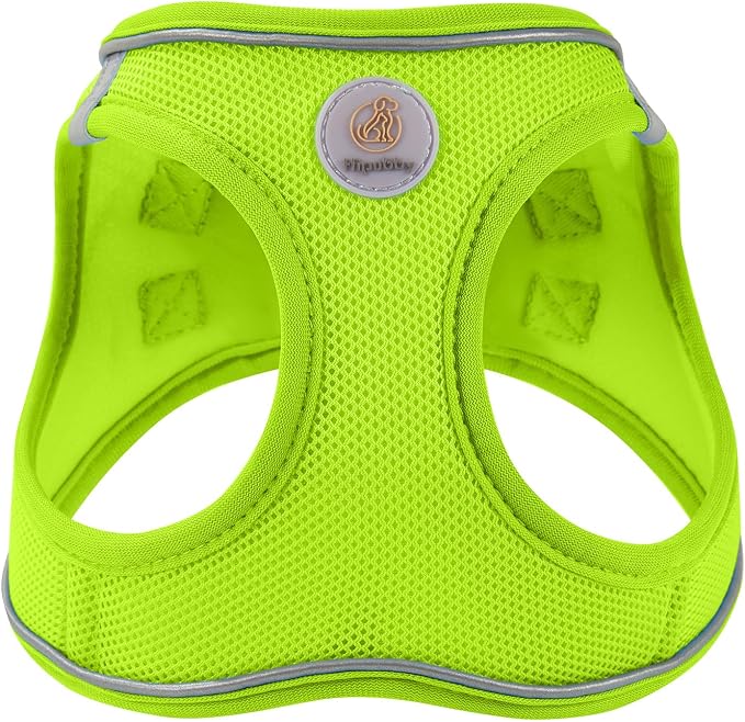 Hipubby Dog Harness and Leash Set, No Pull Soft Mesh Puppy Harness - Image 2