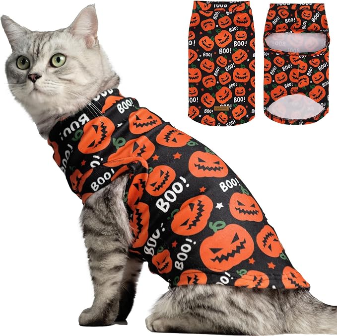 EXPAWLORER Cat Halloween Sweater by EXPAWLORER