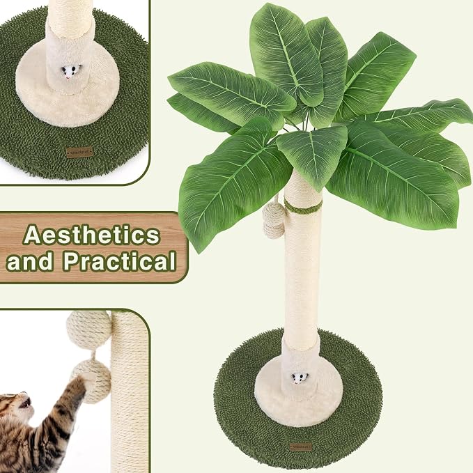 Cat Scratching Post for Indoor Cats and Kitten - Image 4