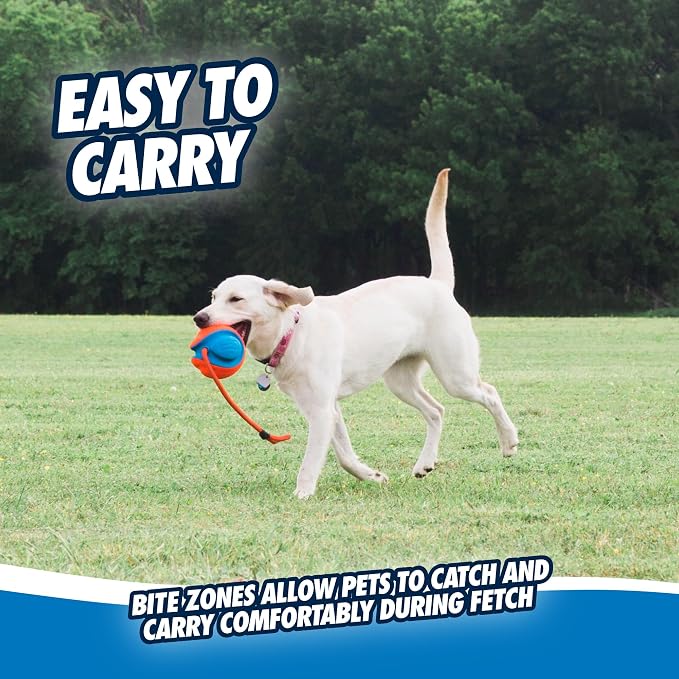 Chuckit! Rope Fetch Dog Toy - Image 5
