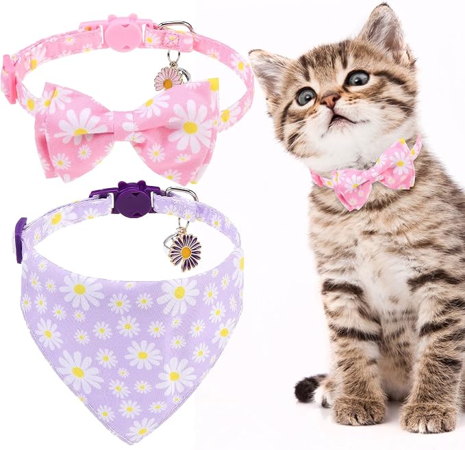 EXPAWLORER Cute Cat Collar Breakaway by EXPAWLORER