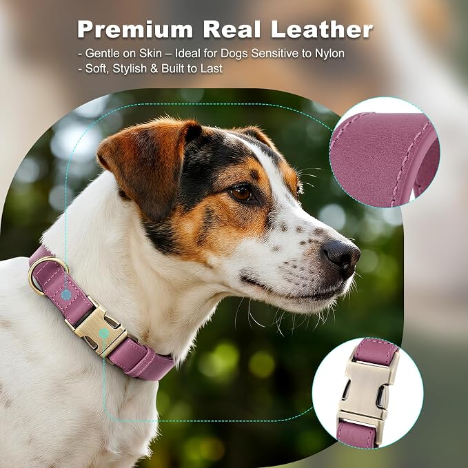 Plutus Pet Genuine Leather Dog Collar – Adjustable Pet Collar - Image 3