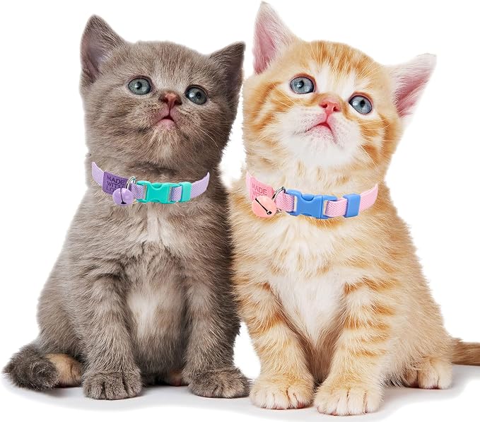 Elastic Cat Collar 2 Pack of Safety Quick Release Cat Collars - Image 5