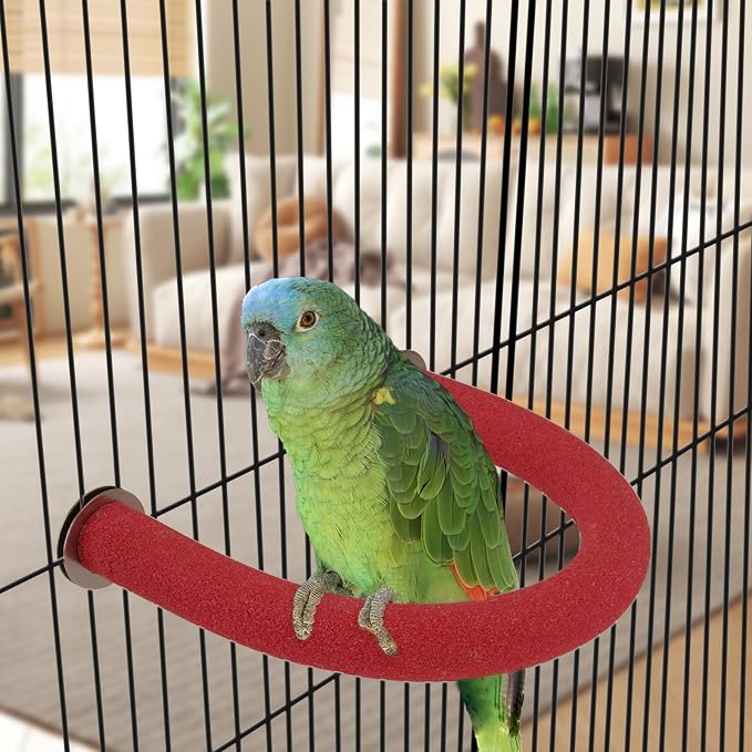 Rypet U Shape Parrot Perch Stand Toy - Image 5