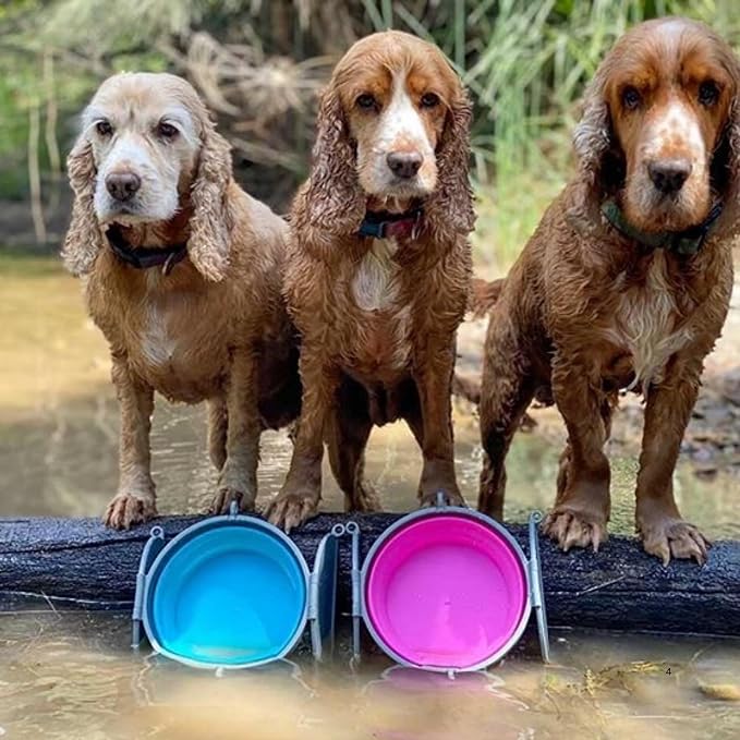 Loving Pets Bella Roma Collapsible Dog Bowls - Image 9