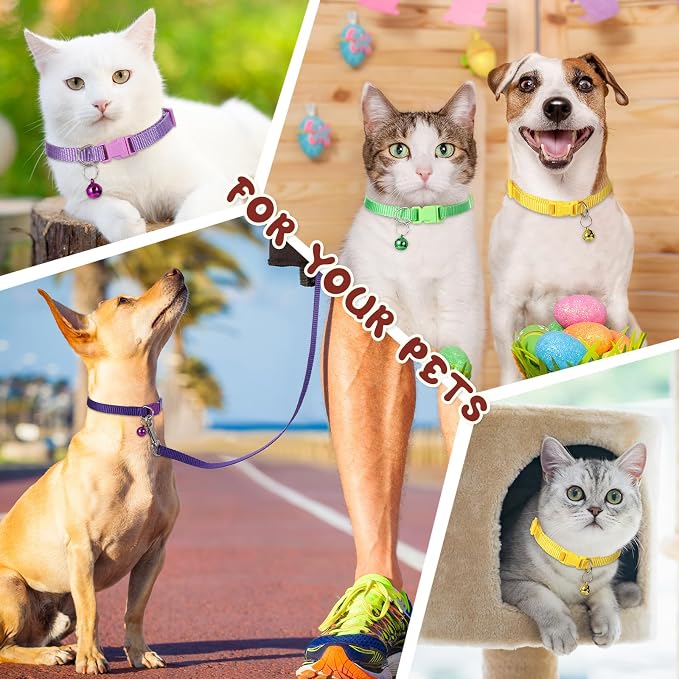 Amylove 48 Pcs Dog Collar and Leash Set, Polypropylene Adjustable Puppy Collars - Image 7
