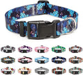 Mercano Adjustable Dog Collar by Unknown
