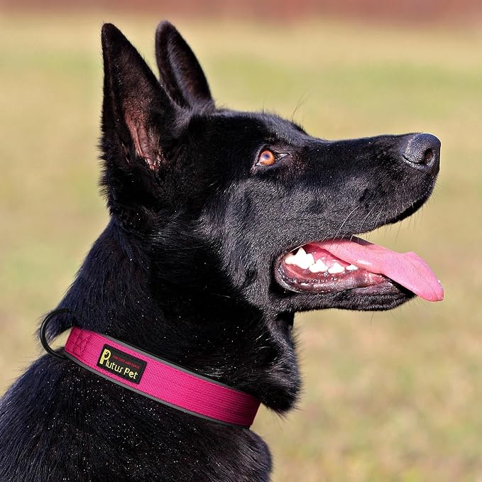 Plutus Pet Tactical Dog Collar, Reflective, Adjustable Heavy Duty Dog Collar - Image 6