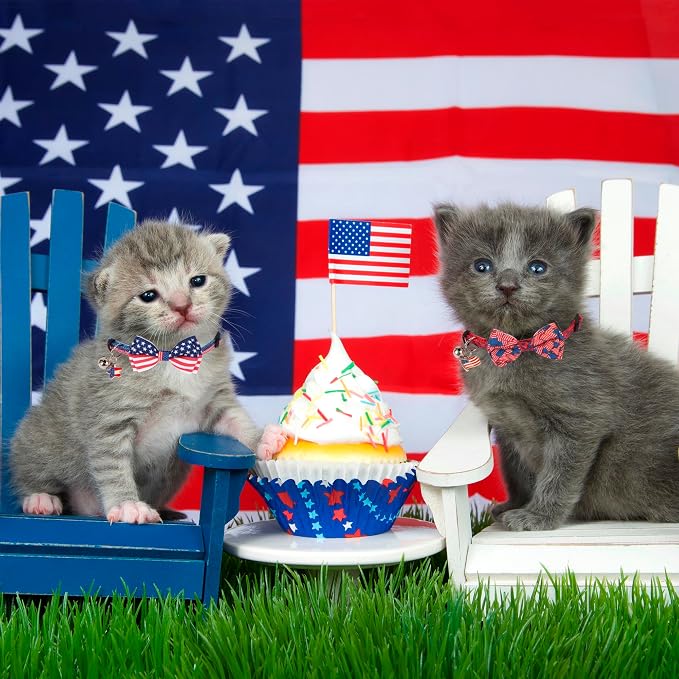 ADOGGYGO American Flag Cat Collars - Image 2