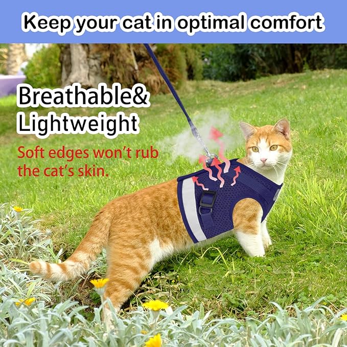 Cat Harnesses and Puppy Harness - Image 2