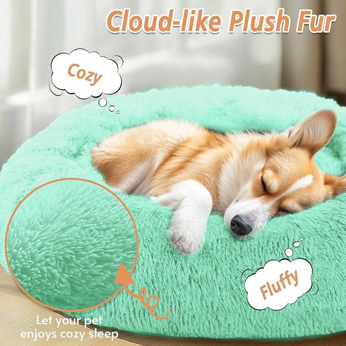 JOLLYVOGUE Calming Dog Bed for Small Dogs - Image 2