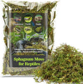 Sukh Green Sphagnum Moss Reptile Substrate, 5oz - GlobalHabitat Supply