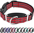Hikiko Martingale Dog Collars Reflective Nylon Dog Collar by Hikiko