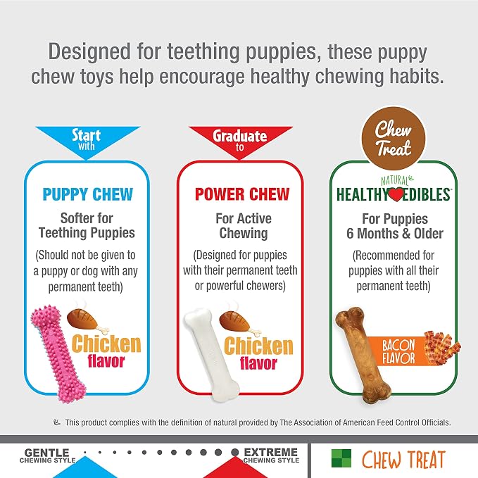 Nylabone Puppy Chew Toys & Natural Treat Triple Pack, Puppy Enrichment Teething - Image 8