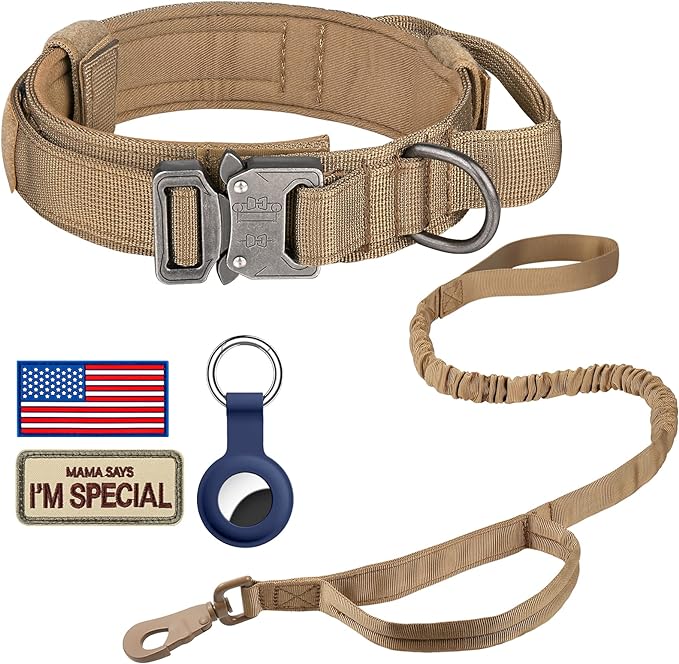 DAGANXI Tactical Dog Collar, Adjustable Military Training Nylon Dog Collar by DAGANXI