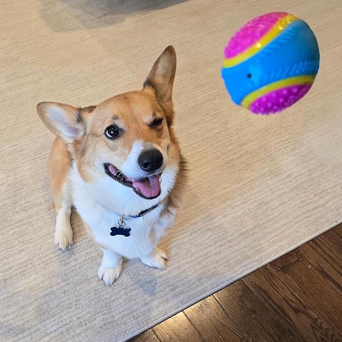 SPOT Sensory Ball Dog Toy for Soft Chewers – 3.25-Inch Durable TPR Rubber Ball - Image 6