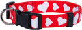 Native Pup Valentine’s Dog Collar- Valentines Day Pet Collars- Valentine Girly by NativePup