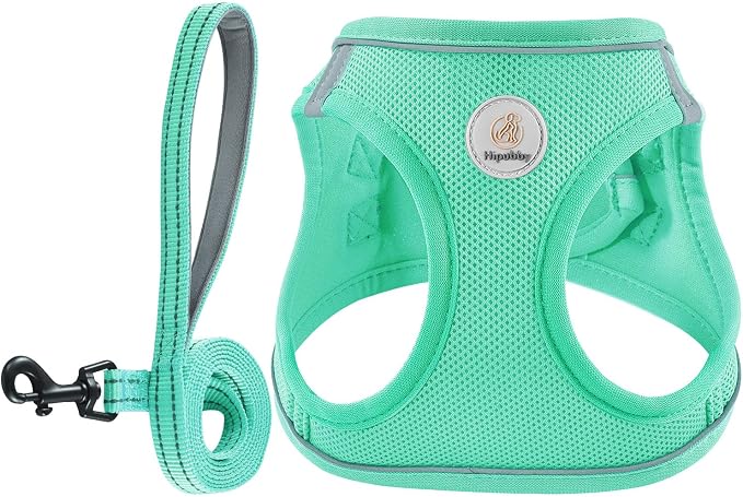 Hipubby Dog Harness and Leash Set, No Pull Soft Mesh Puppy Harness by Hipubby