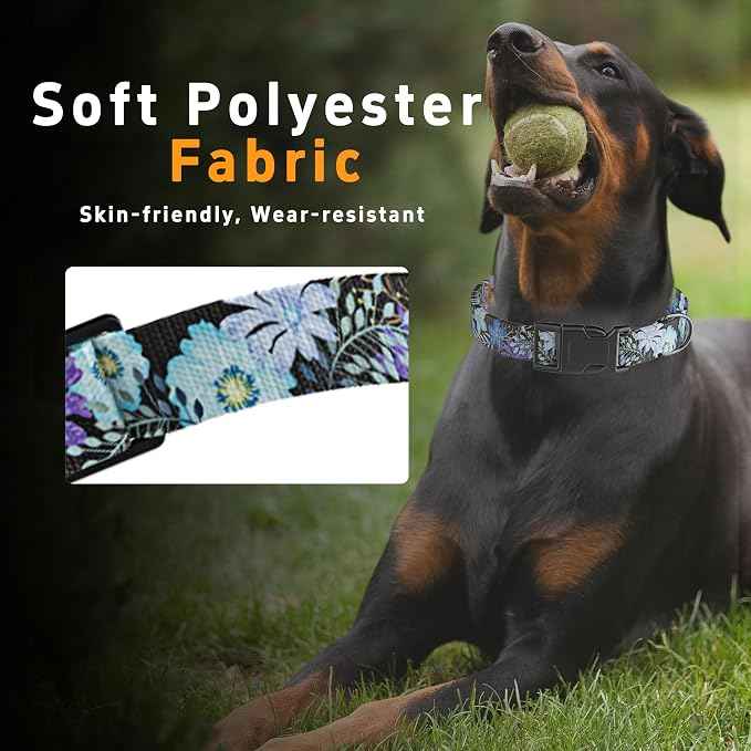Dog Collar for Boys & Girls, Puppy Collar for Small to Large Dogs, Adjustable