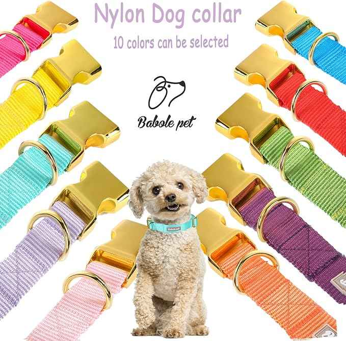 Nylon Dog Collar