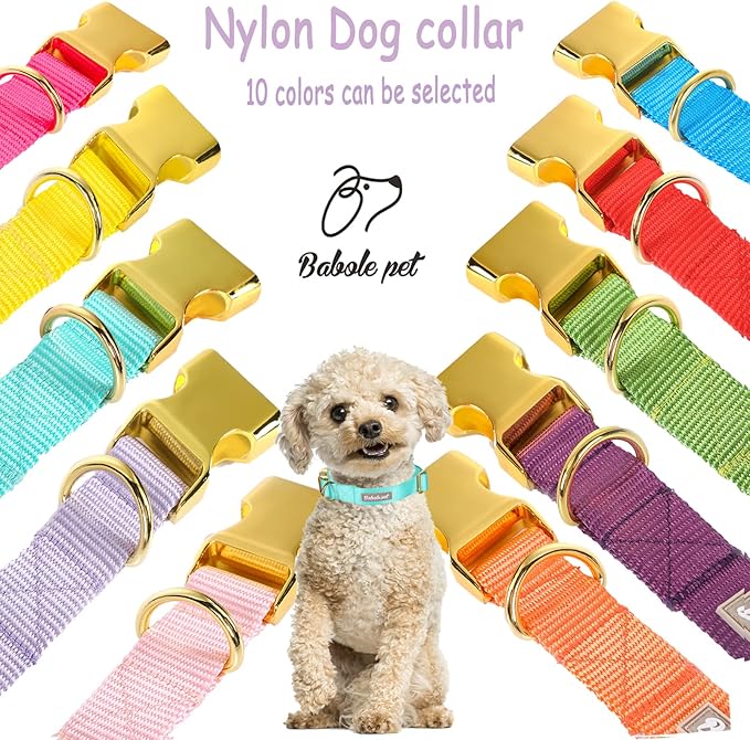 Nylon Dog Collar - Image 7