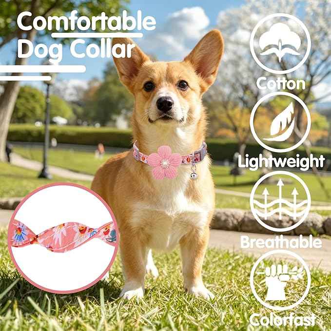 Medium Dog Collar with Flower, Dog Collars