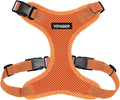 Voyager Step-in Pet Harness by BestPetSuppliesLLC