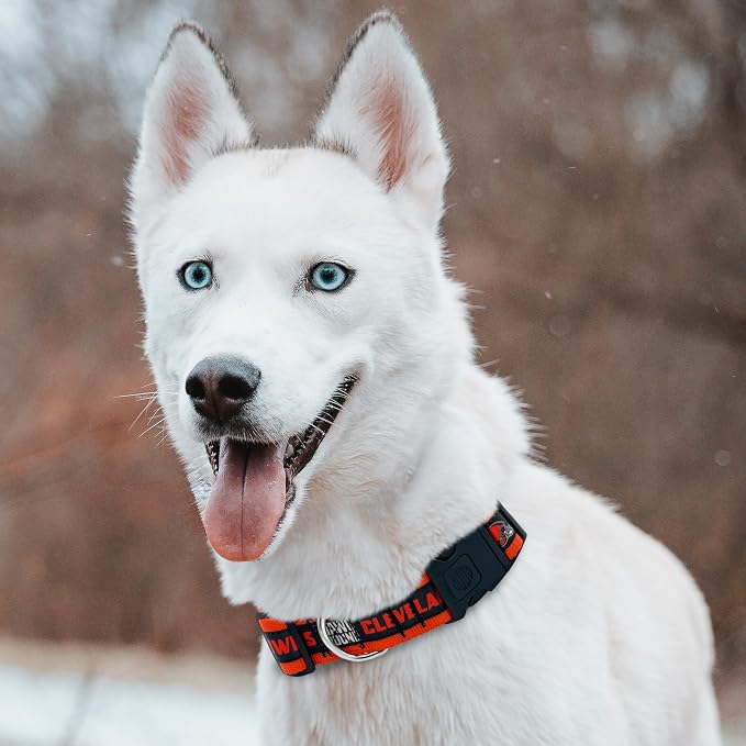 New & Improved Pets First NFL Licensed PET Collar- Heavy-Duty, and Durable New - Image 4