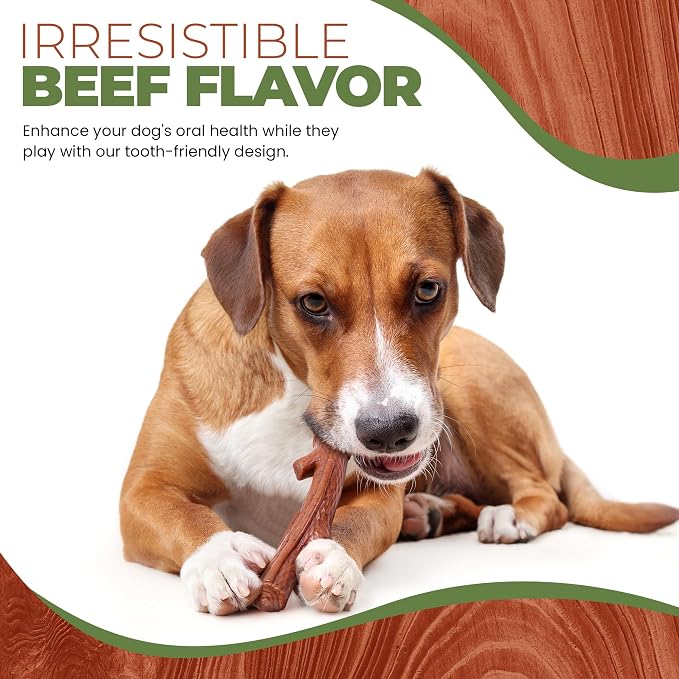 SPOT Bam-Bones Plus Branch -Bamboo Fiber & Nylon, Durable Long Lasting Dog Chew - Image 7