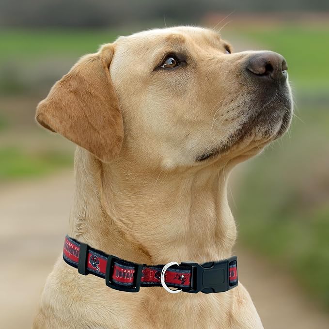Pets First NFL Tampa Bay Buccaneers Licensed PET COLLAR, Small - Image 5