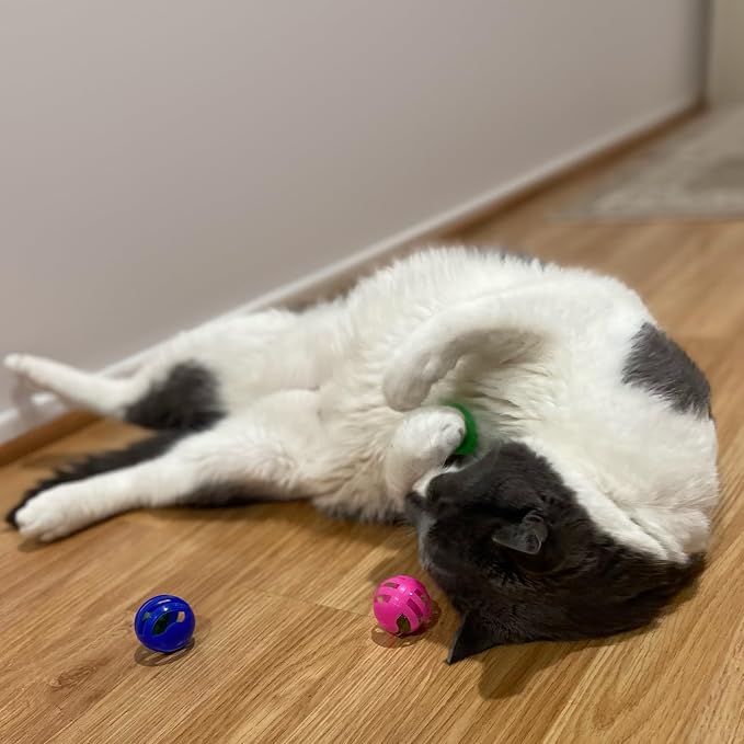 SPOT Slotted Balls Cat Toy - Image 7