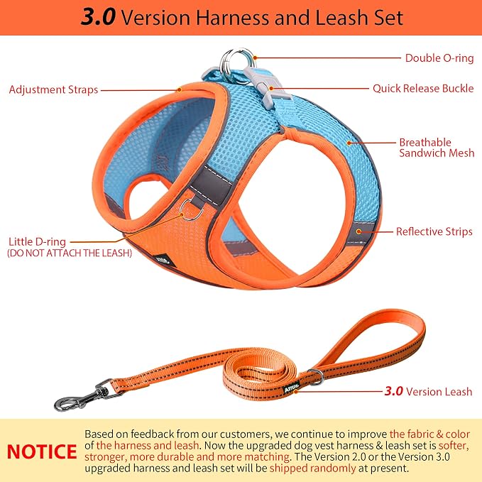 AIITLE Step in Dog Harness and Leash Set - Image 3