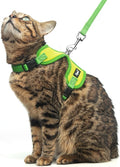 PUPTECK Cat Harness and Leash Set Escape Proof, Reflective Adjustable Soft Mesh by PUPTECK