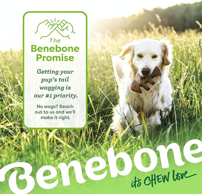 Benebone Tiny 2-Pack Fishbone Durable Dog Chew Toys, Real Fish Flavor, Made in - Image 6