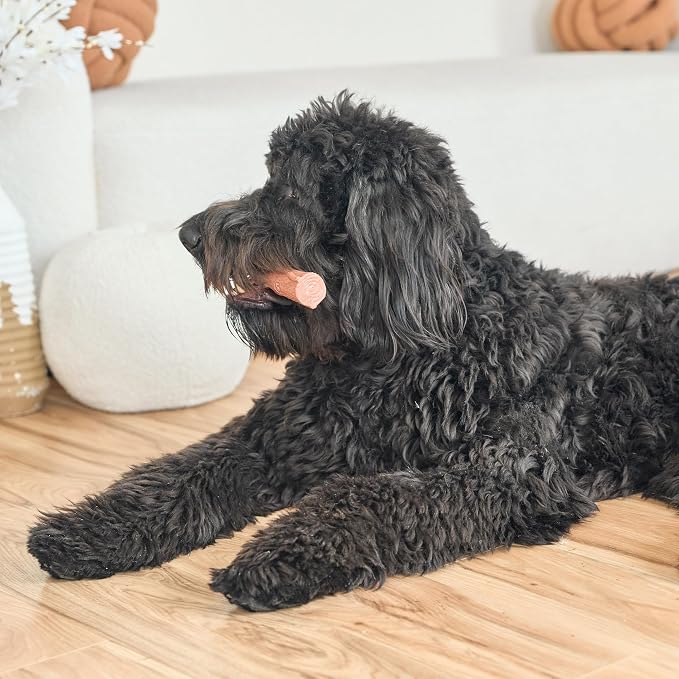 SPOT Bam-Bones Plus Branch -Bamboo Fiber & Nylon, Durable Long Lasting Dog Chew - Image 14