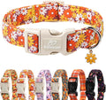 Fall Dog Collar Vintage Daisy Puppy Collar by Babolepet