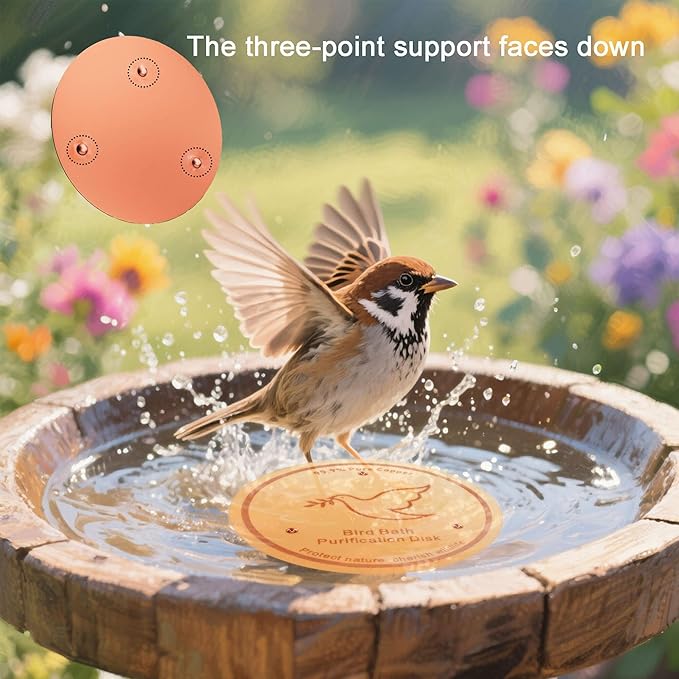 1Pack Bird Bath Copper Purification Disk | 0.6mm Reinforced 99.9% Pure Copper | - Image 3