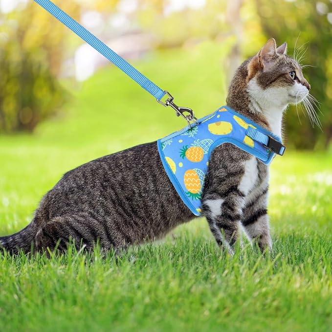 PUPTECK Soft Mesh Cat Vest Harness and Leash Set Puppy Padded Pet Harnesses - Image 5