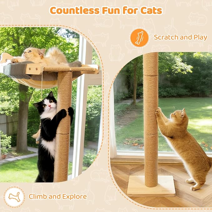 Cat Window Perch with Scratching Post, Bird Watching, Supports 45 lbs - Image 7