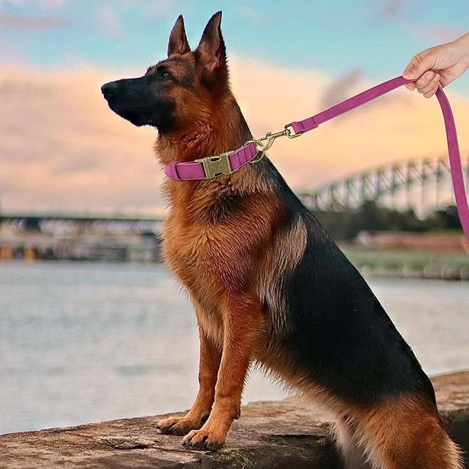 Didog Soft PU Leather Dog Collar, Stylish Quick Released Dog Collars - Image 3