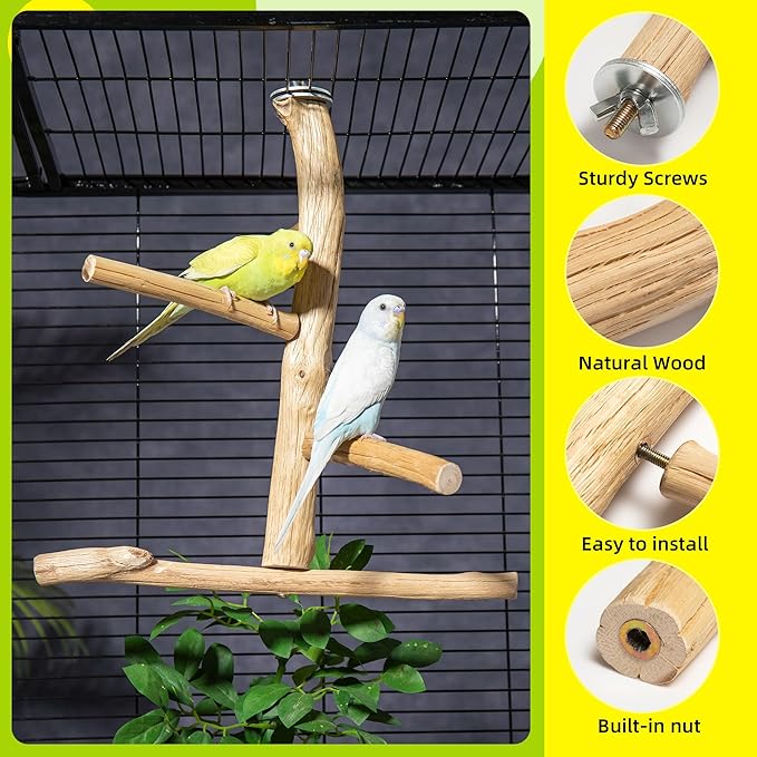Natural Wood Bird Perch & Play Stand - Image 2