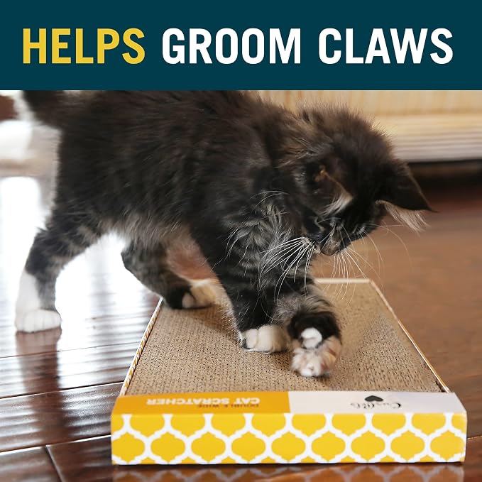 Our Pets Far and Wide Cat Scratcher Multipack - Image 6