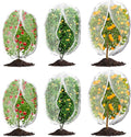 6Pcs Plant Covers from Insects, 3Size Bird Netting Barrier by Waybas