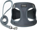 Dog Harness with Leash Set, No Pull Adjustable Reflective Step-in Puppy Pet by BOOMIBOO