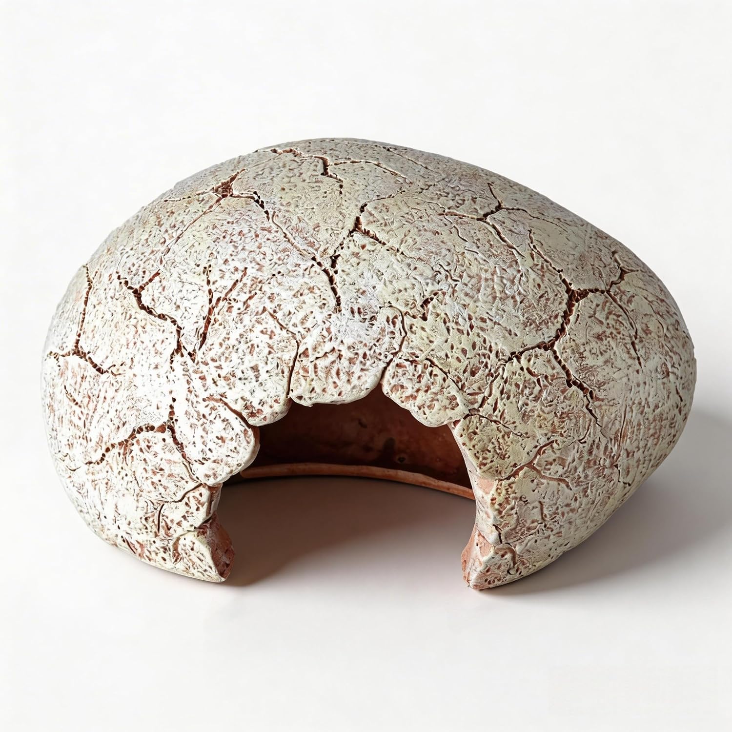Small Dinosaur Egg Reptile Hide for Leopard Gecko - GlobalHabitat Supply