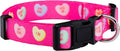 Native Pup Valentine’s Dog Collar- Valentines Day Pet Collars- Valentine Girly by NativePup